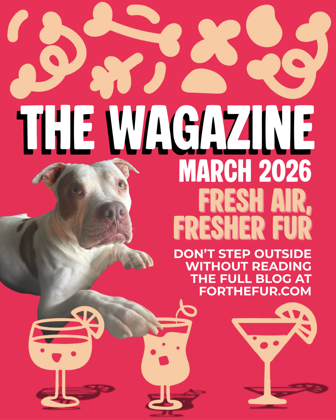 Spring Grooming Tips for Dogs & Cats | The Wagazine – March 2026