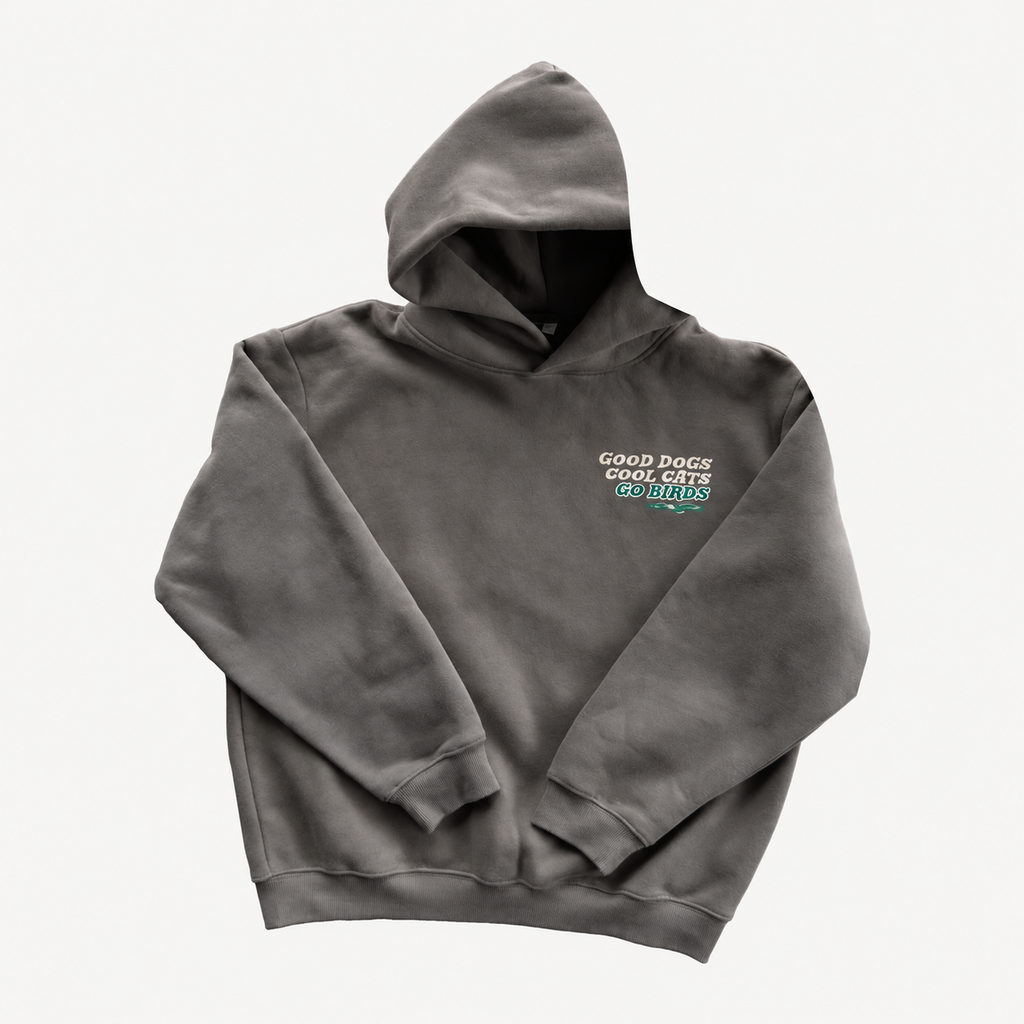 Front of washed-charcoal Go Birds Hoodie with chest graphic